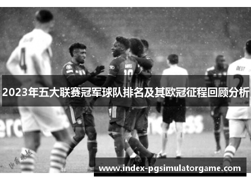 2023年五大联赛冠军球队排名及其欧冠征程回顾分析