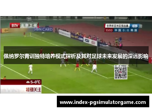 佩纳罗尔青训独特培养模式探析及其对足球未来发展的深远影响