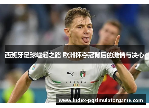 西班牙足球崛起之路 欧洲杯夺冠背后的激情与决心