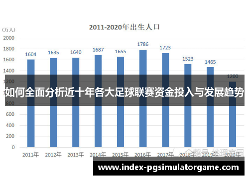 如何全面分析近十年各大足球联赛资金投入与发展趋势