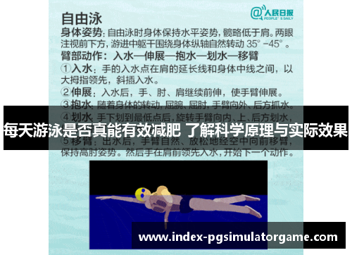 每天游泳是否真能有效减肥 了解科学原理与实际效果