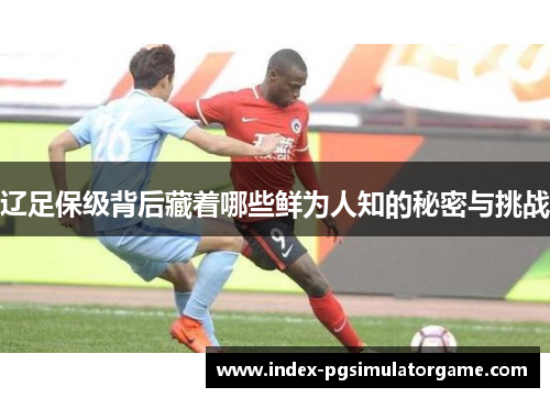 辽足保级背后藏着哪些鲜为人知的秘密与挑战