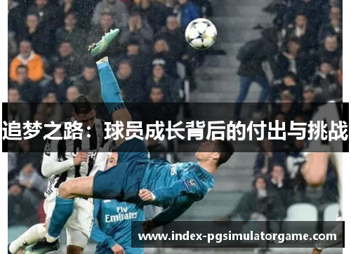 追梦之路：球员成长背后的付出与挑战