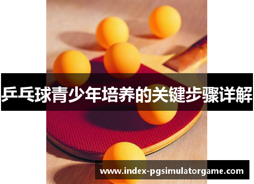 乒乓球青少年培养的关键步骤详解