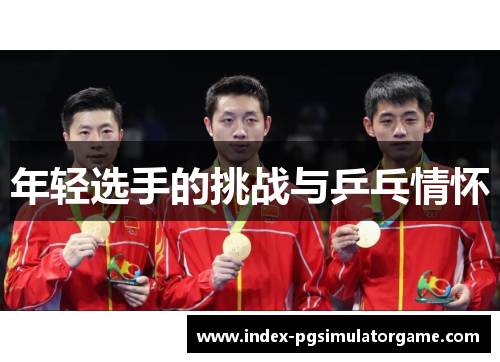 年轻选手的挑战与乒乓情怀