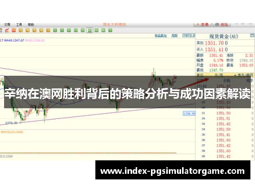 辛纳在澳网胜利背后的策略分析与成功因素解读