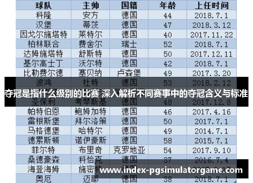 夺冠是指什么级别的比赛 深入解析不同赛事中的夺冠含义与标准