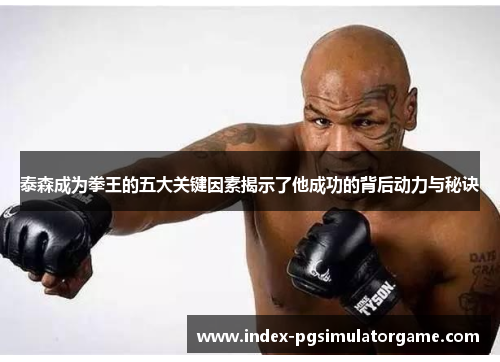泰森成为拳王的五大关键因素揭示了他成功的背后动力与秘诀