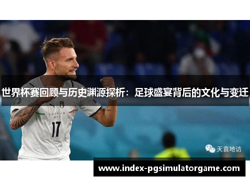 世界杯赛回顾与历史渊源探析：足球盛宴背后的文化与变迁