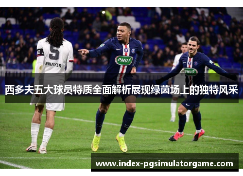西多夫五大球员特质全面解析展现绿茵场上的独特风采