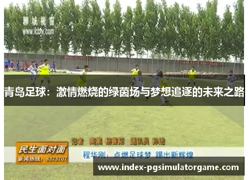 青岛足球：激情燃烧的绿茵场与梦想追逐的未来之路