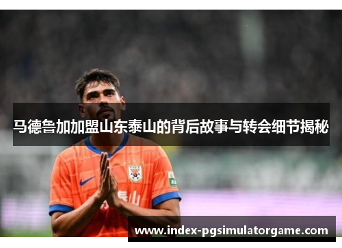 马德鲁加加盟山东泰山的背后故事与转会细节揭秘