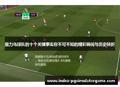 魔力鸟球队的十个关键事实你不可不知的精彩瞬间与历史转折