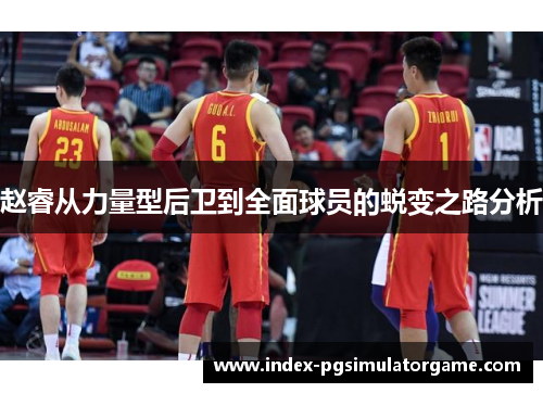 赵睿从力量型后卫到全面球员的蜕变之路分析