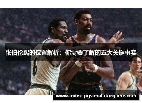 张伯伦踢的位置解析：你需要了解的五大关键事实