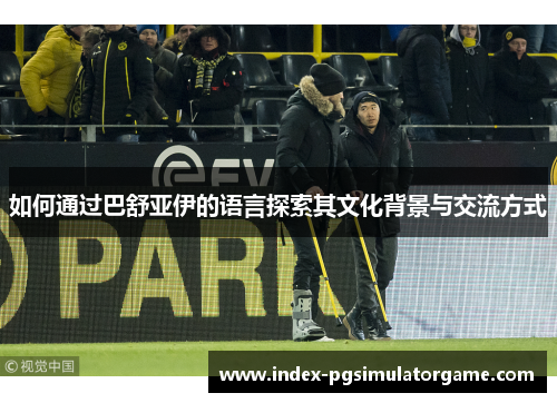 如何通过巴舒亚伊的语言探索其文化背景与交流方式