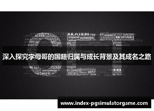 深入探究字母哥的国籍归属与成长背景及其成名之路