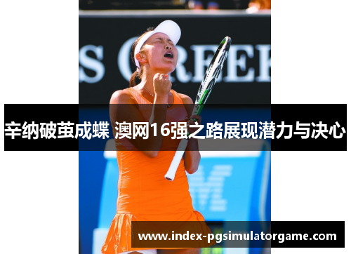辛纳破茧成蝶 澳网16强之路展现潜力与决心