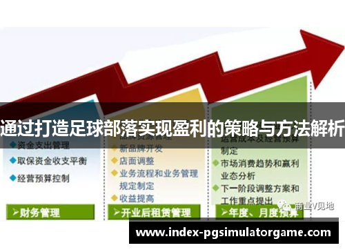 通过打造足球部落实现盈利的策略与方法解析 通过打造足球部落实现盈利的策略与方法解析