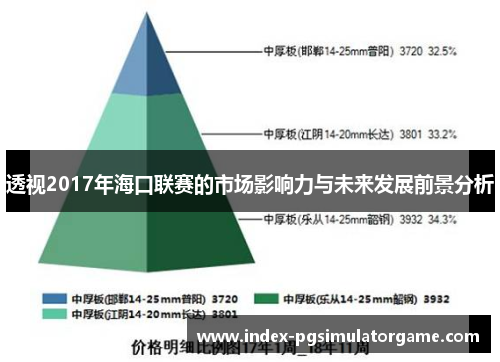 透视2017年海口联赛的市场影响力与未来发展前景分析 透视2017年海口联赛的市场影响力与未来发展前景分析