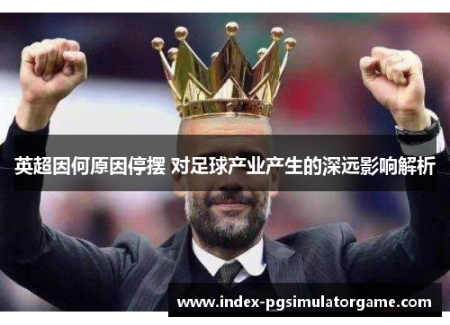 英超因何原因停摆 对足球产业产生的深远影响解析