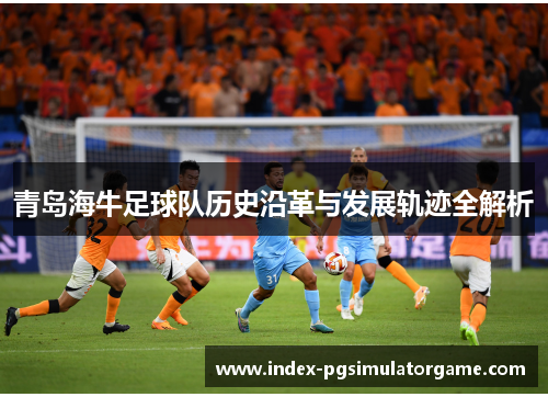 青岛海牛足球队历史沿革与发展轨迹全解析
