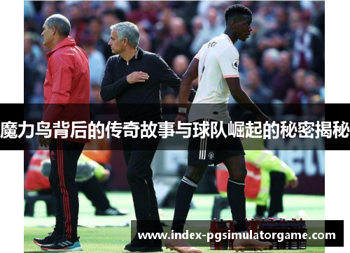 魔力鸟背后的传奇故事与球队崛起的秘密揭秘