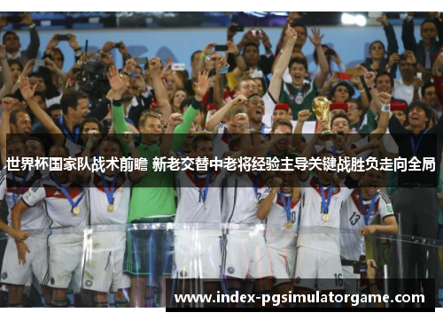世界杯国家队战术前瞻 新老交替中老将经验主导关键战胜负走向全局