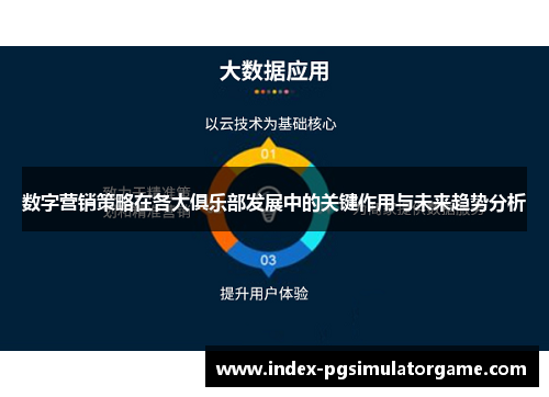 数字营销策略在各大俱乐部发展中的关键作用与未来趋势分析