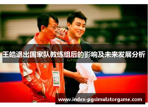 王皓退出国家队教练组后的影响及未来发展分析