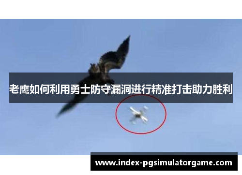 老鹰如何利用勇士防守漏洞进行精准打击助力胜利