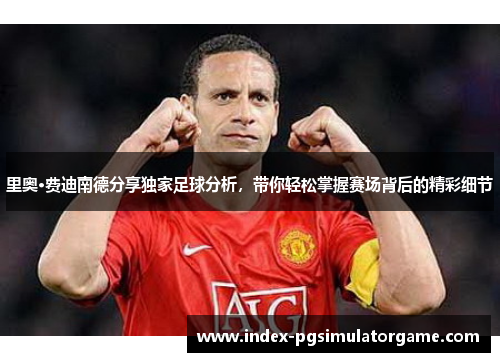 里奥·费迪南德分享独家足球分析，带你轻松掌握赛场背后的精彩细节